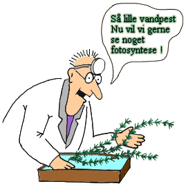 Fotosynteseøvelse